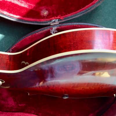 Gibson The Gibson F4 Mandolin 1920 image 6