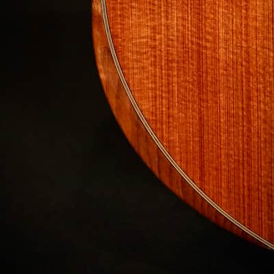 Furch Rainbow Gc-DR Custom Shop Sinker Redwood  - Natural High-Gloss image 5