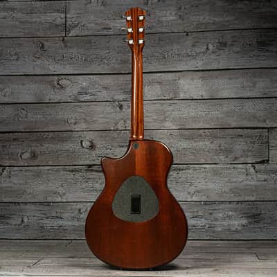 Taylor T5 Classic image 6