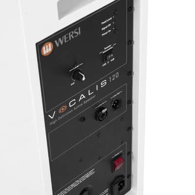 Wersi VOCALIS 120 - Keyboard Amp image 4