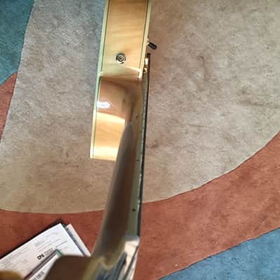 Epiphone Joe Pass Emperor II LEFTY LEFT HANDED! image 3