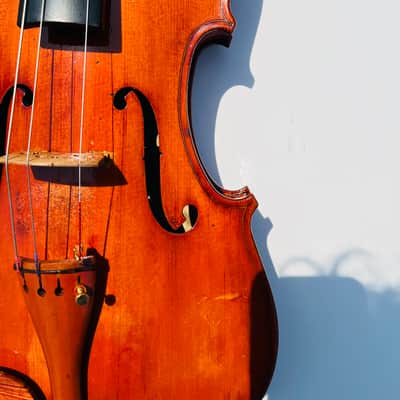 Giustino Dal Canto 16.5in Viola 1973 Signed imagen 24