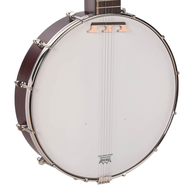 Recording King Dirty 30s Open Back Banjo image 1