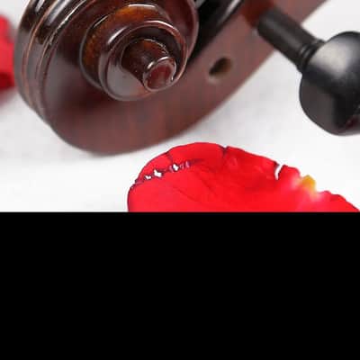 Strumenti a Corde 2500 Viola 14" - Solid Wood Viola with Bow and Case image 5