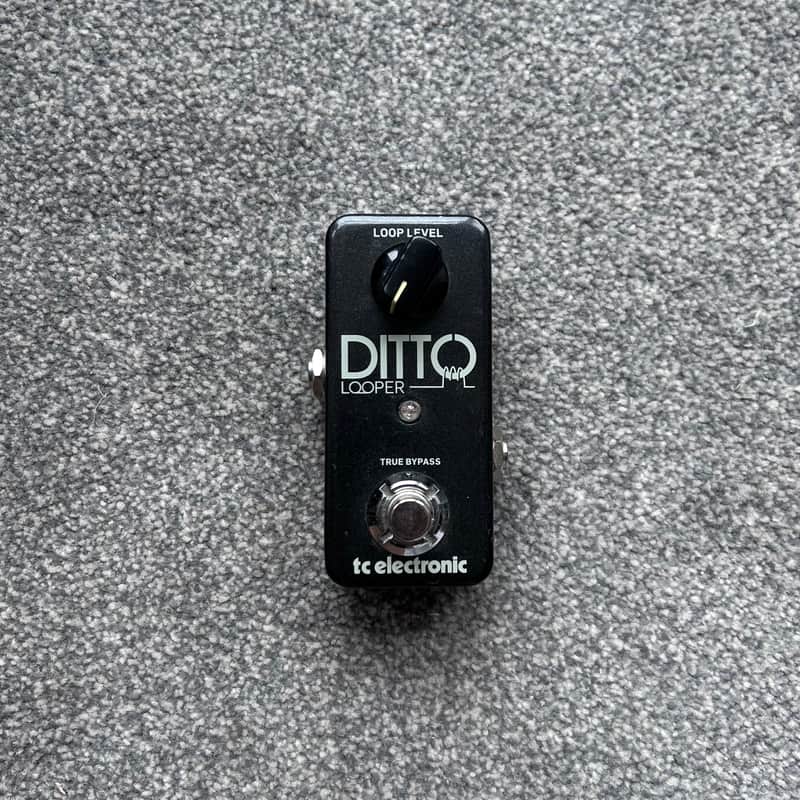 TC Electronic Ditto Looper 2013 - Present - Black image 1