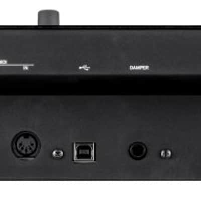 Korg MULTIPOLYM Multi/Poly Module Analog Modeling Synthesizer image 3