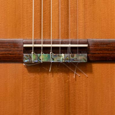 Chris Carrington Classical Guitar 366 2020 - Natural Gloss image 9