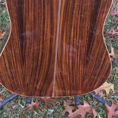 Zager 900CE 50th Anniversary image 6