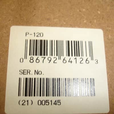 Yamaha P-120 88-key Digital Piano Keyboard w/ Accessories image 18