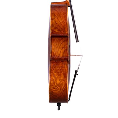 Goffriller Cello 4/4 from One Piece Back - Hand-Made in Romania 2025 #78 image 10