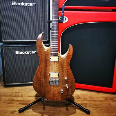 LT Custom Pioneer Superstrat - Special Edition image 1