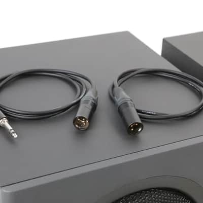 Alesis S1 Active Powered Subwoofer Sub Pair w/ Canare XLR-TRS 1/4" Cables #34937 image 13