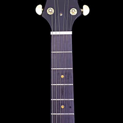 Wolf Guitars Australia Supernatural CH - 3 Tone Sunburst image 4