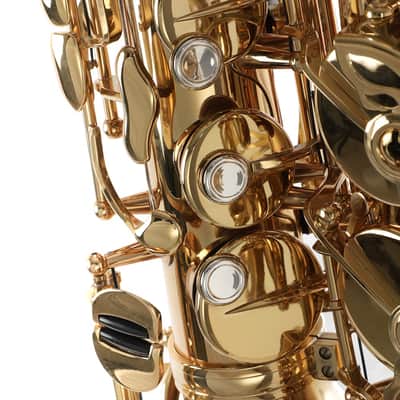 Andreas Eastman EAS850 Professional Alto Saxophone with Case image 7
