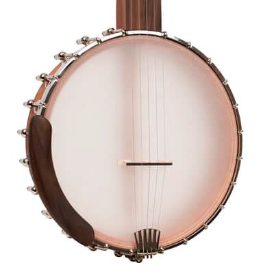Gold Tone HM-25 High Moon Openback 11" Banjo with Padded Bag image 12