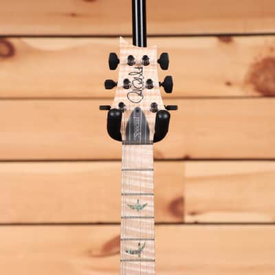 Paul Reed Smith Special 22 Semi-Hollow Wood Library - Trampas Green Fade-24 0388177 image 5