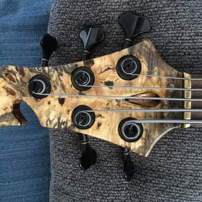 Prana custom bass PC-Buckeye burl 5str.  2014 Clear image 8
