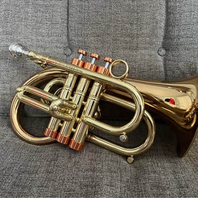 Carol Brass Phat Puppy Pocket Flugelhorn Bb Trumpet by Taylor Brass image 1