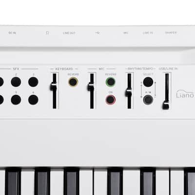 Korg Liano Live image 5