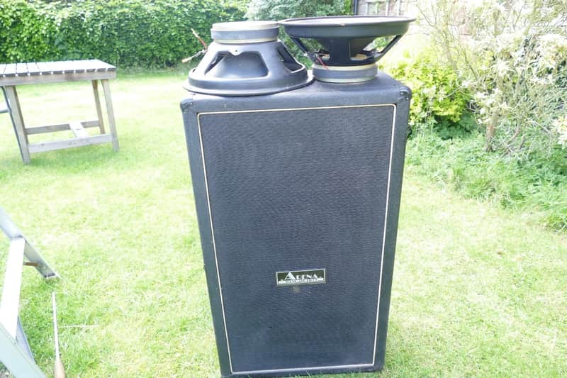 Arena Sound and Light Twin Speaker Cabinet Including Two 12" Speakers image 1