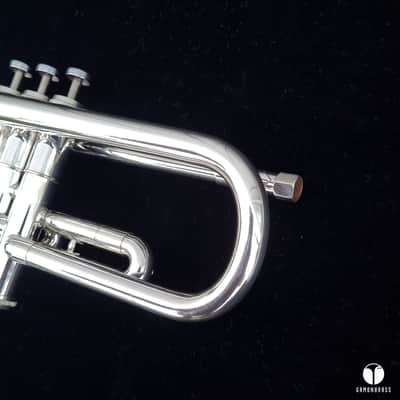 Beautiful Getzen Eterna Severinsen Model trumpet case mouthpiece gamonbrass image 17