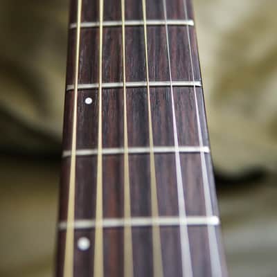 Godin Multiac Steel Duet image 3