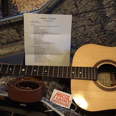 Peterson D-100 MY (2021) USA Handbuilt Boutique Acoustic Dreadnought - Fishman Matrix Infinity, OHSC image 11