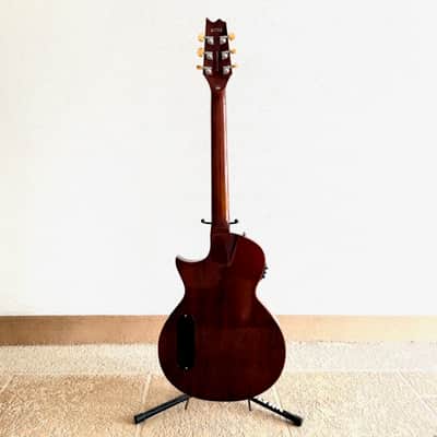 ESP LTD TL-6 with Jatoba Fretboard 2020 - Present - Tiger Eye Burst image 8