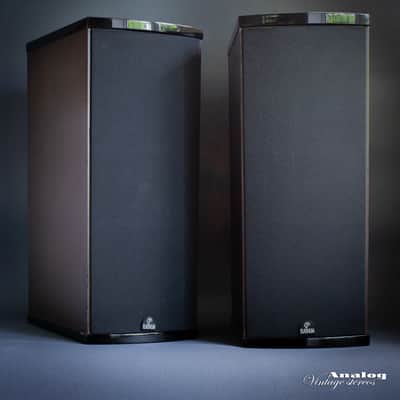 Platinium Duo image 2