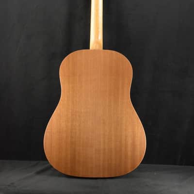 Martin DSS Biosphere® II Sloped-Shoulder Dreadnought image 8