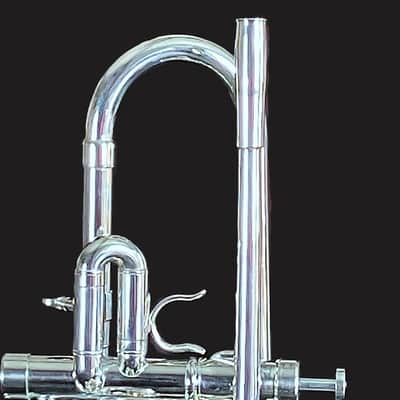 BERKELEY Raw Brass STD Eb/D Trumpet w/ Extra Silver D Bell 2019ish - SILVER PLATED image 8