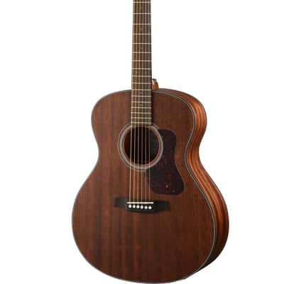 Walden *Pre-Order* Natura 500 Grand Auditorium Solid Mahogany Top Acoustic Electric Guitar in Open Pore Satin Natural Finish +GigBag | 6-String | Steel | G551E | Special Order | Authorized Dealer image 2