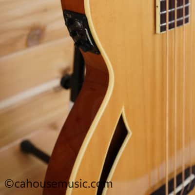 ESP LTD TL-4 Hollowbody - Natural Gloss image 8