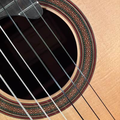 2019 Bradley Edward Corney Classical Guitar #0014 image 10