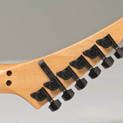 EVH Signed /Owned guitar image 9