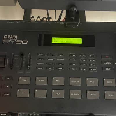 Yamaha RY30