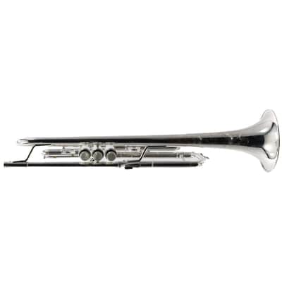 S.E. Shires Model Q10RS Q-Series Professional Bb Trumpet SN Q3825 image 13