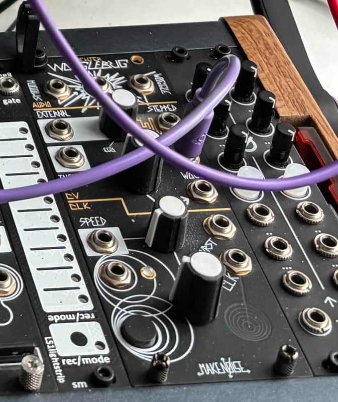 Make Noise Wogglebug