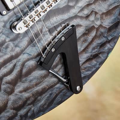 Artinger 25th Anniversary Hollow Body Custom image 16