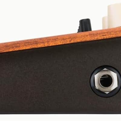 LR Baggs Align Series Equalizer Pedal image 4