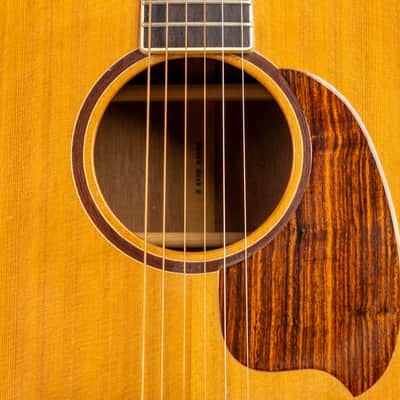 Daion MUGEN Mark II - Six String Acoustic image 4