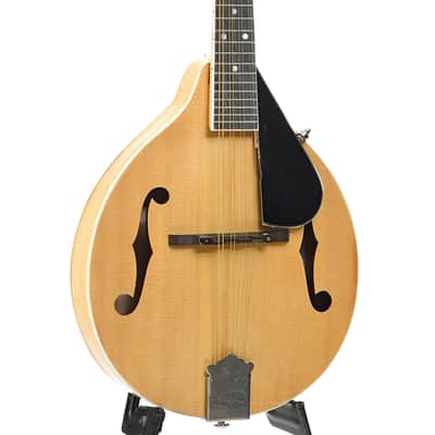 Jordan L. Buck A-Style Kit Mandolin (2024) image 4