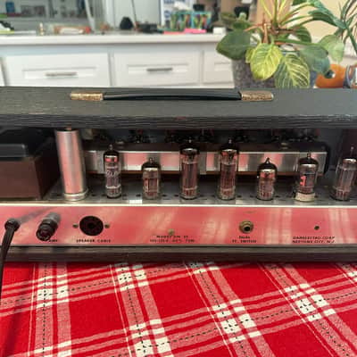 Danelectro DM25 - 1960's - Head / Cabinet image 16