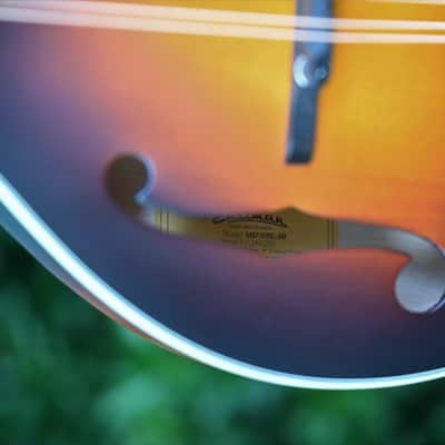 Eastman MD305E - Sunburst image 7