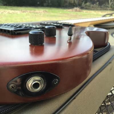 Godin Exit 22 S USA / Canada Mahogany Electric Guitar W/Bag image 12