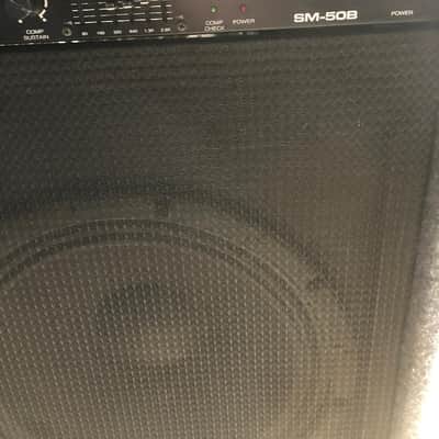 Samick SM 50B bass combo 15" speaker image 3