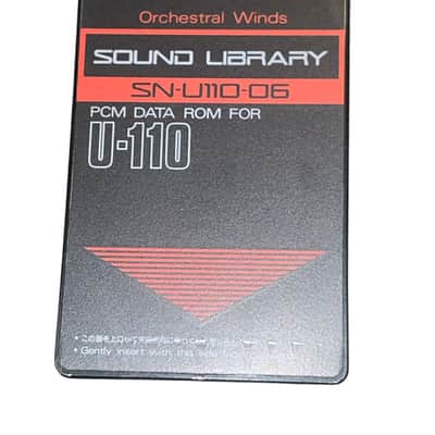 Roland SN-U110-06