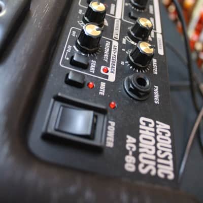 Roland AC-60RW Acoustic Chorus 2-Channel 60-Watt 2x6.5" Guitar Combo Rosewood image 2