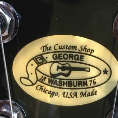 Washburn USA Custom Shop WM 100 image 4