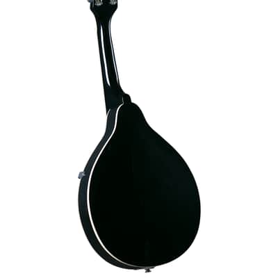 Rover RM-25S Student A-Model Mandolin – Traditional Sunburst image 2